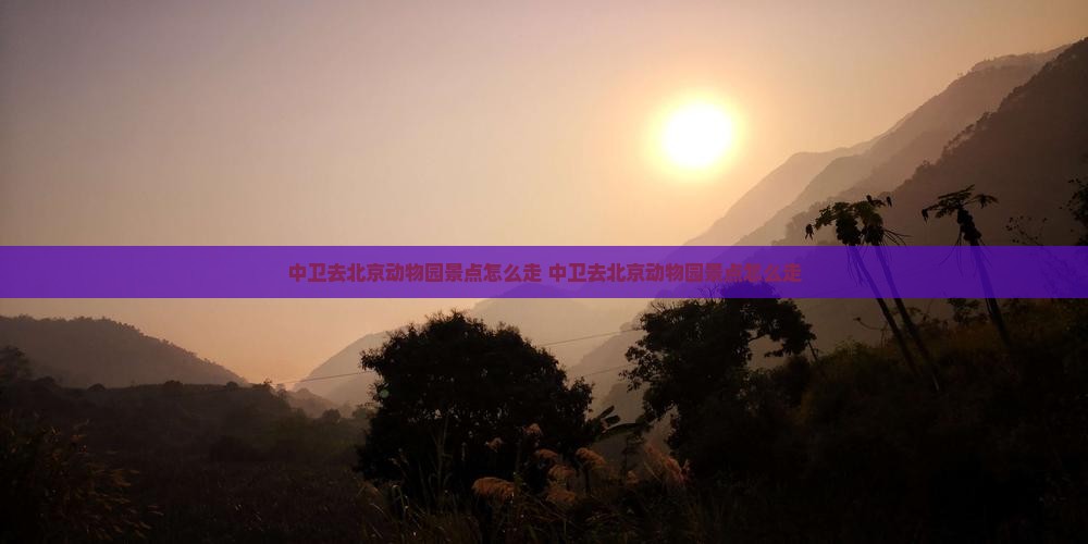 中卫去北京动物园景点