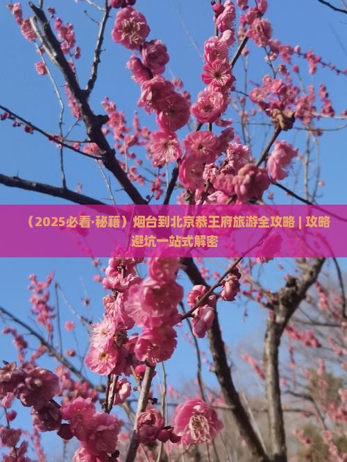 烟台到北京恭王府攻略