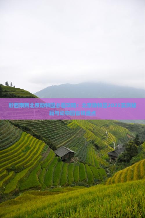 黔西南到北京动物园哪里玩