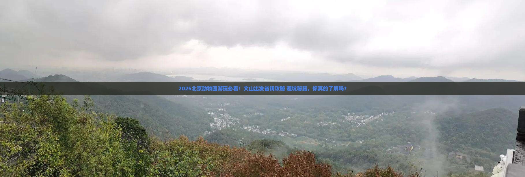 文山去北京动物园旅行社