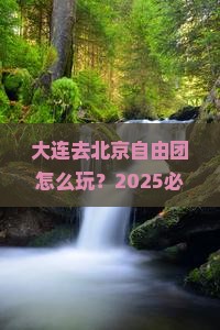 大连去北京自由团