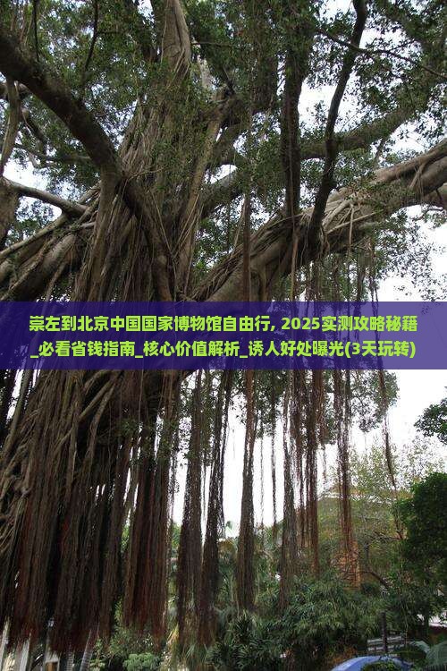 崇左到北京中国国家博物馆自由行