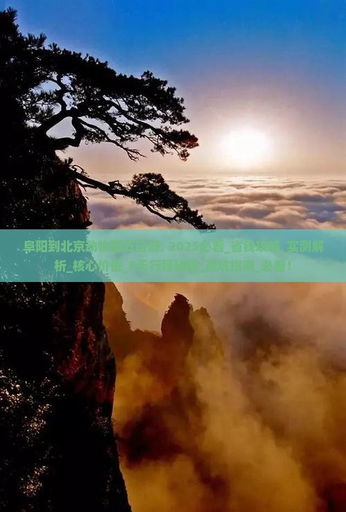 阜阳到北京动物园五日游