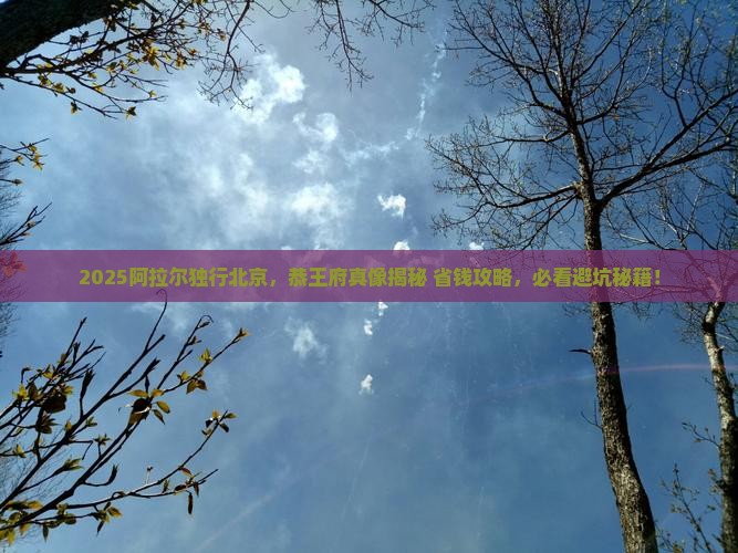 阿拉尔去北京恭王府个人游