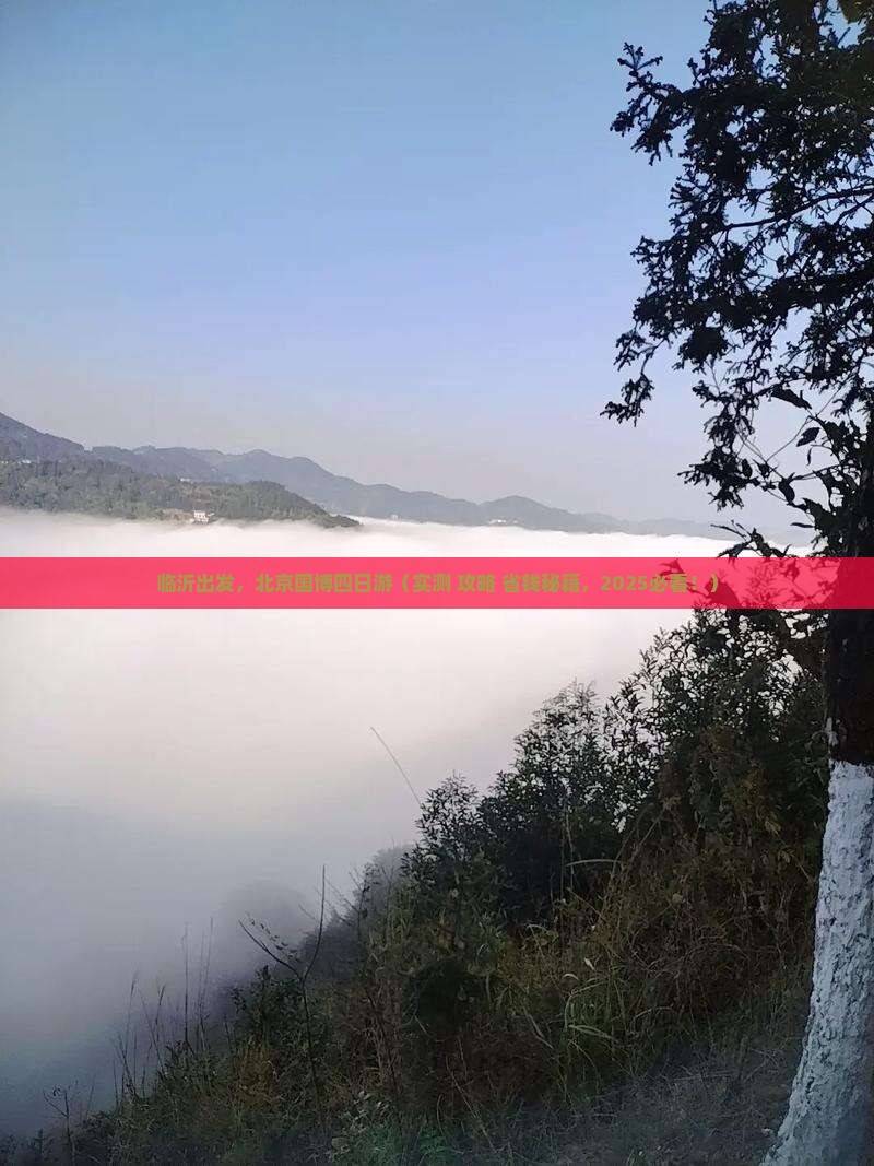 临沂到北京中国国家博物馆四日游