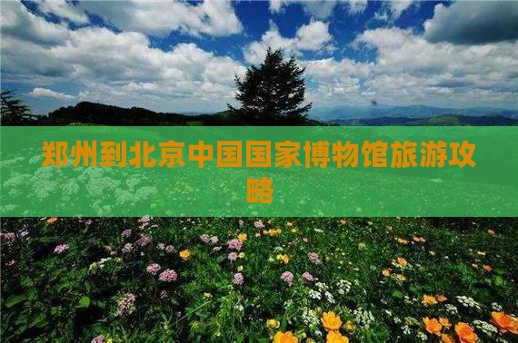 郑州到北京中国国家博物馆自由团