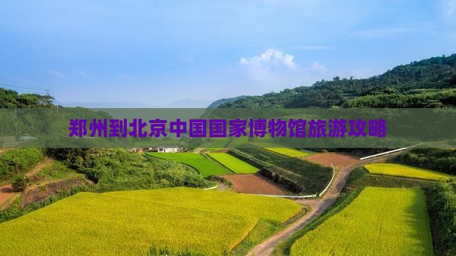 郑州到北京中国国家博物馆自由团