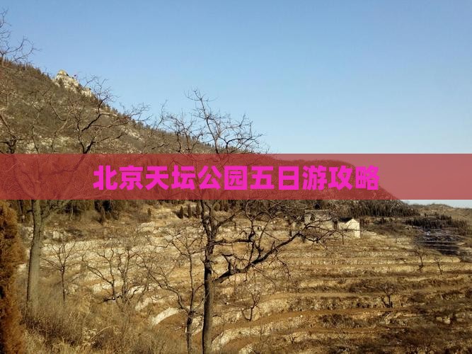 阿里到北京天坛公园五日游