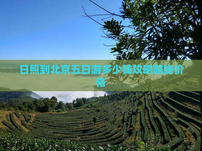 日照到北京五日游