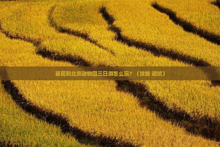 襄樊到北京动物园三日游