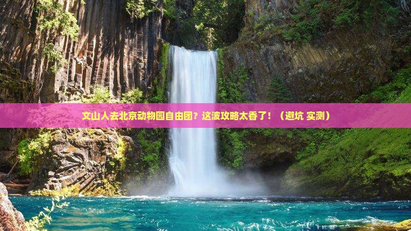 文山去北京动物园自由团