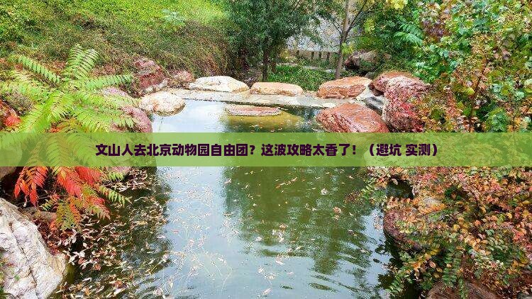 文山去北京动物园自由团