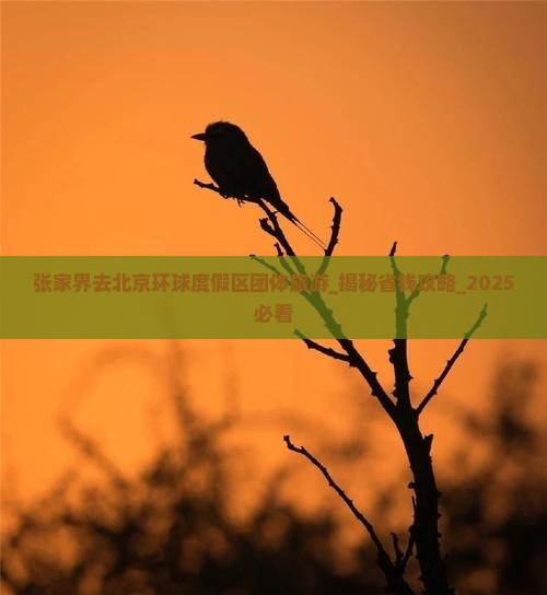 张家界去北京环球度假区团体旅游