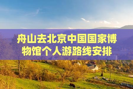 舟山去北京中国国家博物馆个人游