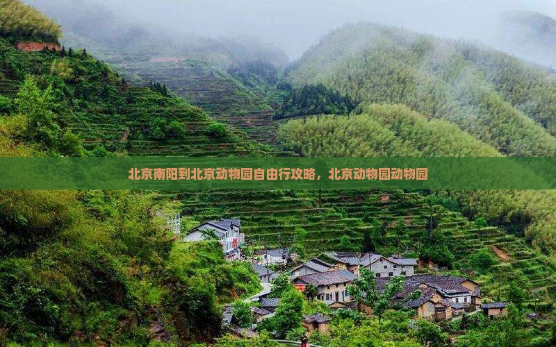 南阳到北京动物园自由行