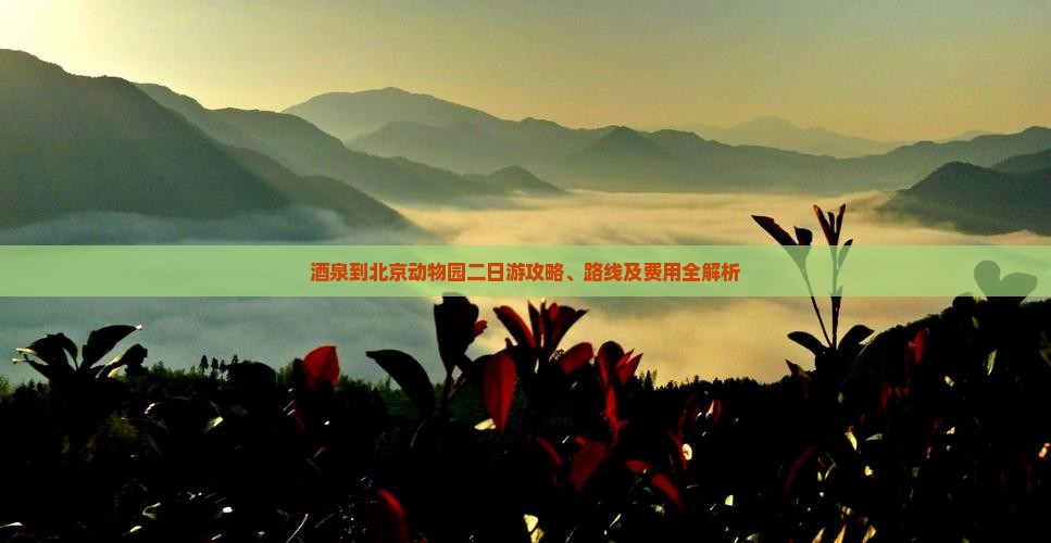 酒泉到北京动物园二日游