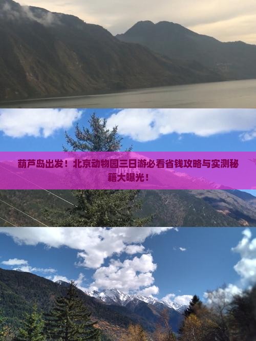 葫芦岛去北京动物园三日游
