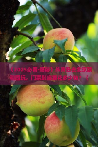 青岛到北京颐和园门票