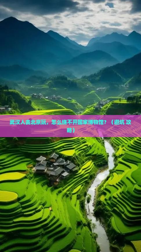 武汉去北京中国国家博物馆个人游