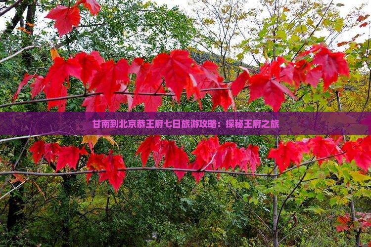 甘南到北京恭王府七日游