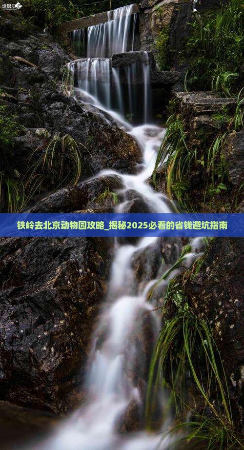 铁岭去北京动物园攻略