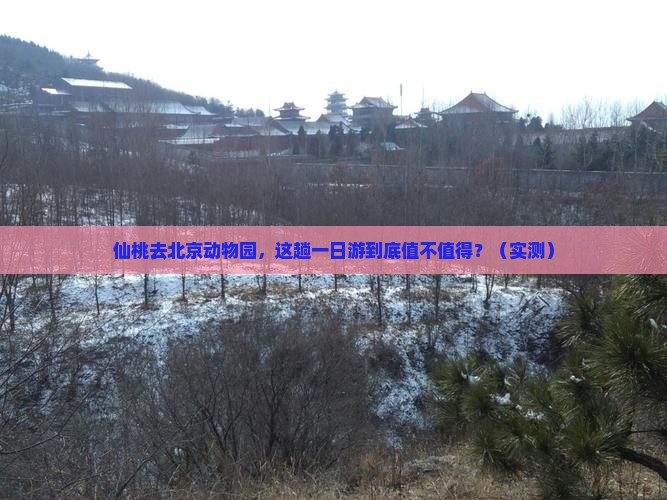 仙桃去北京动物园一日游