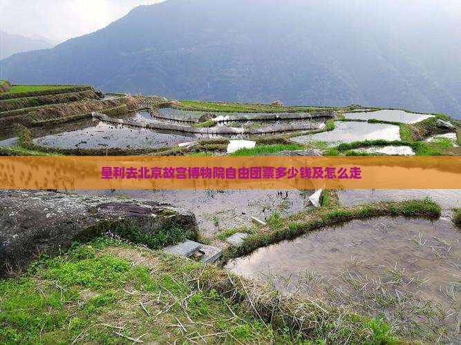 垦利去北京故宫博物院自由团