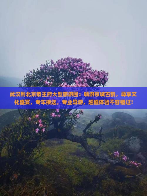 武汉到北京恭王府大型旅游团