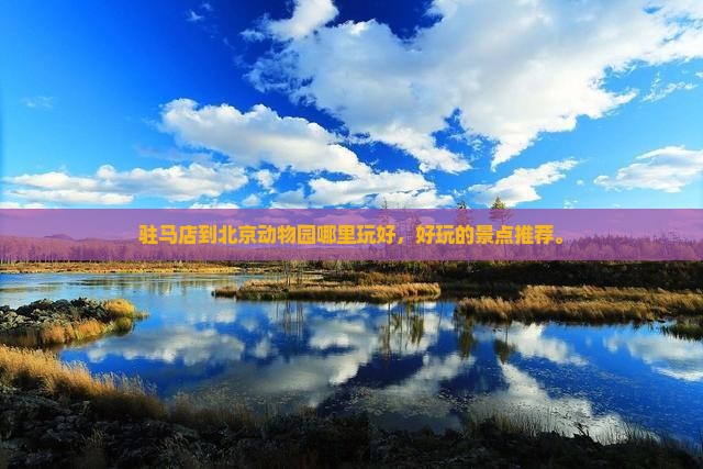 驻马店到北京动物园哪里玩