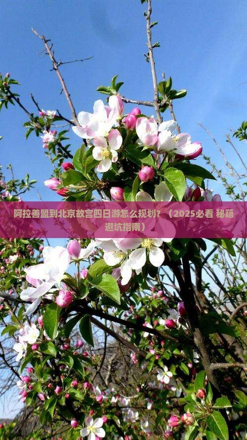 阿拉善盟到北京故宫博物院四日游