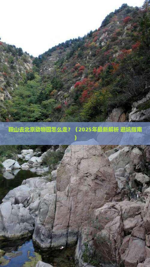 鞍山去北京动物园攻略