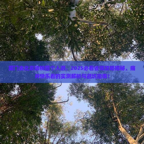 厦门去北京动物园个人游