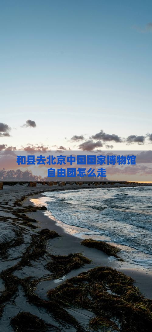 和县去北京中国国家博物馆自由团