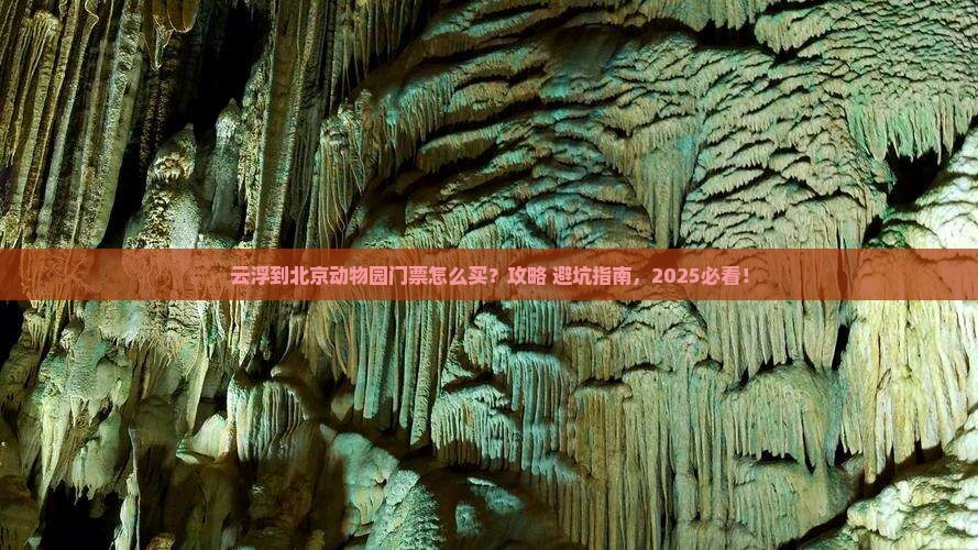 云浮到北京动物园门票
