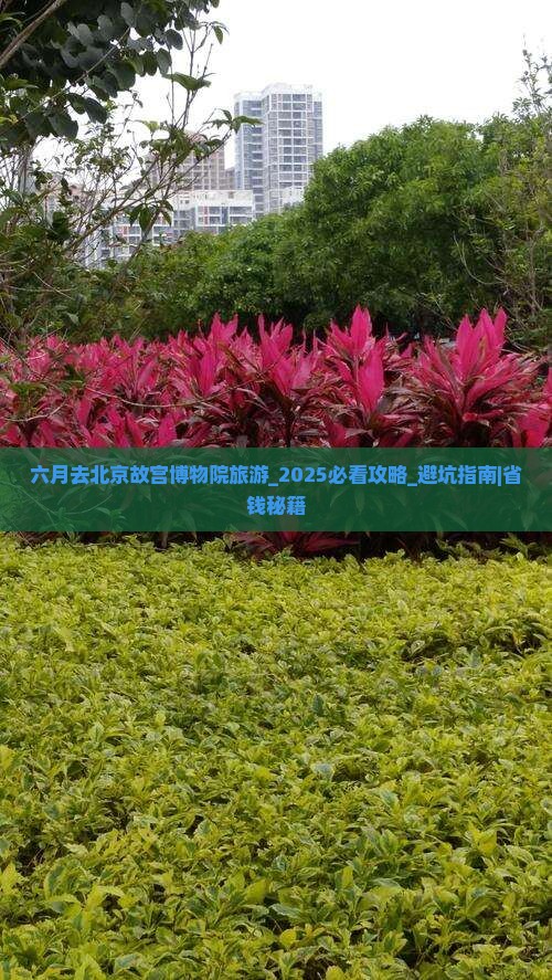 六月去北京故宫博物院旅游