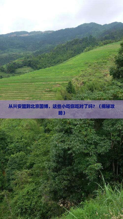 兴安盟到北京中国国家博物馆旅游小吃