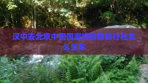 汉中去北京中国国家博物馆旅行社