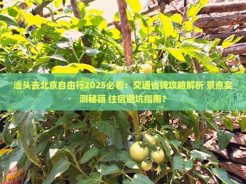 汕头去北京自由行