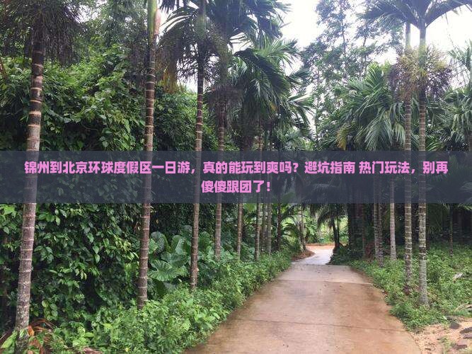 锦州到北京环球度假区一日游