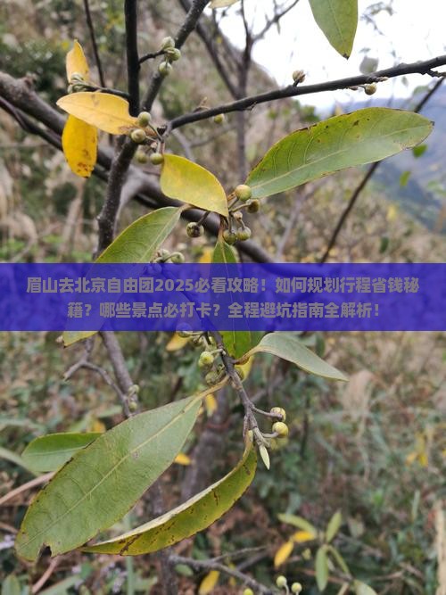 眉山去北京自由团