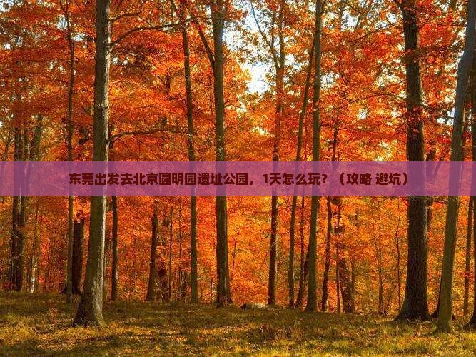 东莞去北京圆明园遗址公园个人游