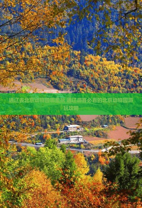 通辽去北京动物园哪里玩