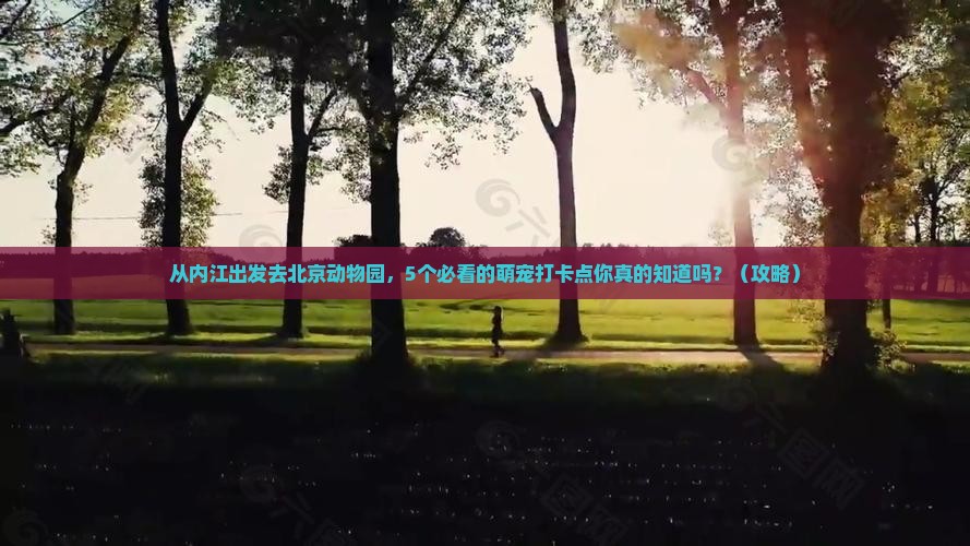 内江去北京动物园攻略
