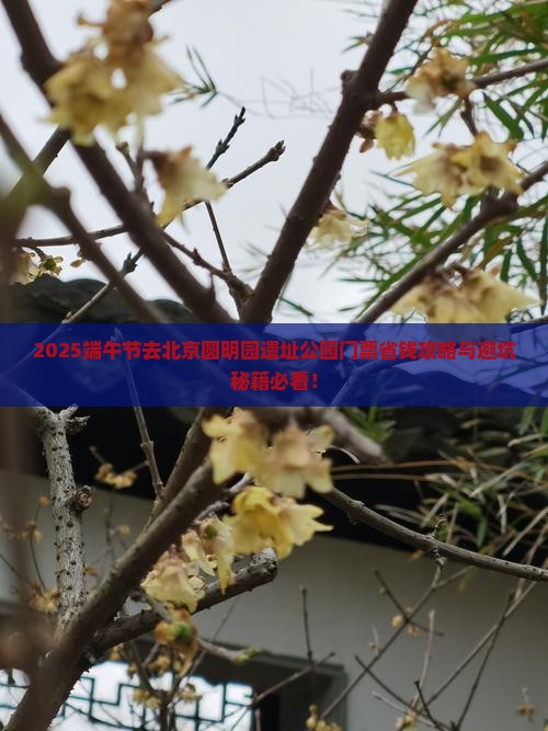 端午节去北京圆明园遗址公园门票