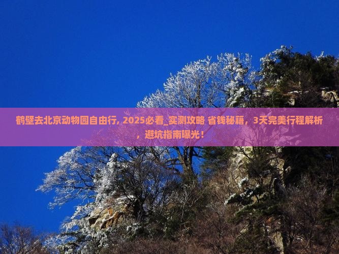 鹤壁去北京动物园自由行