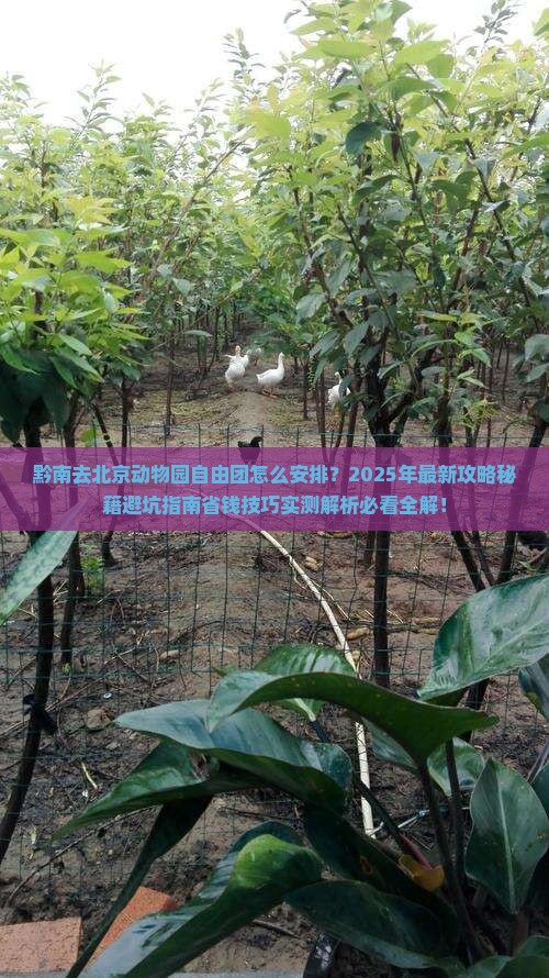 黔南去北京动物园自由团