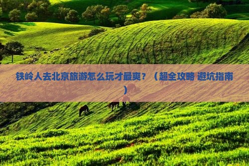 铁岭到北京大型旅游团