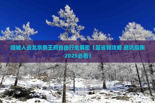 塔城去北京恭王府自由团