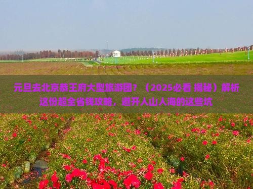 元旦去北京恭王府大型旅游团
