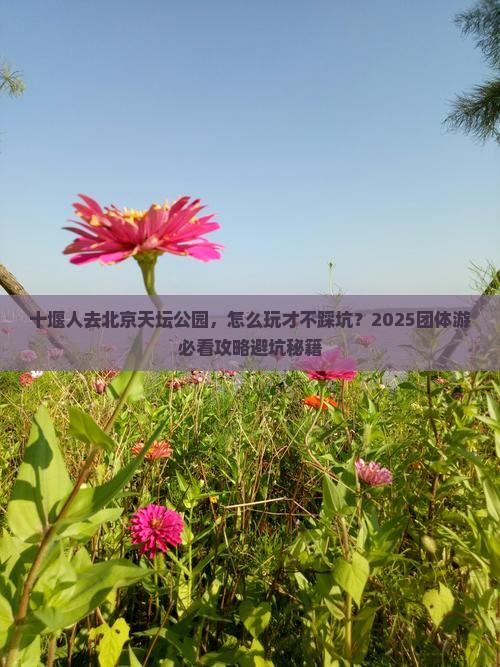 十堰去北京天坛公园团体旅游
